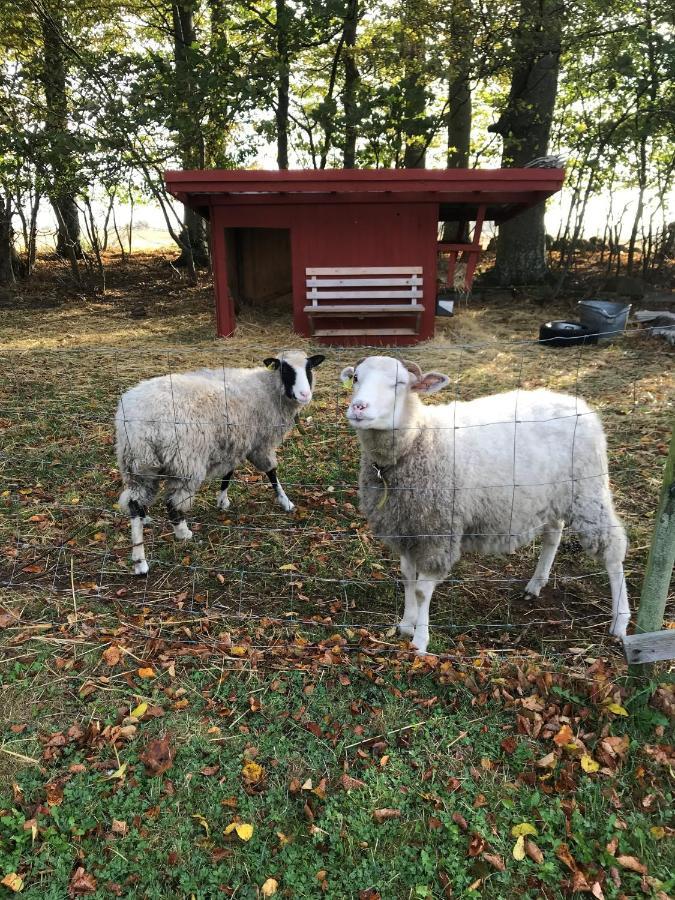Rosloevs Gard Vackert Boende I En Naturskoen Miljoe. Flyinge Exteriör bild