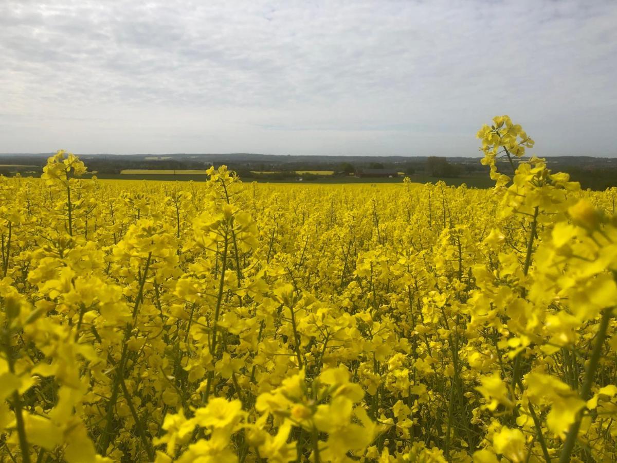 Rosloevs Gard Vackert Boende I En Naturskoen Miljoe. Flyinge Exteriör bild