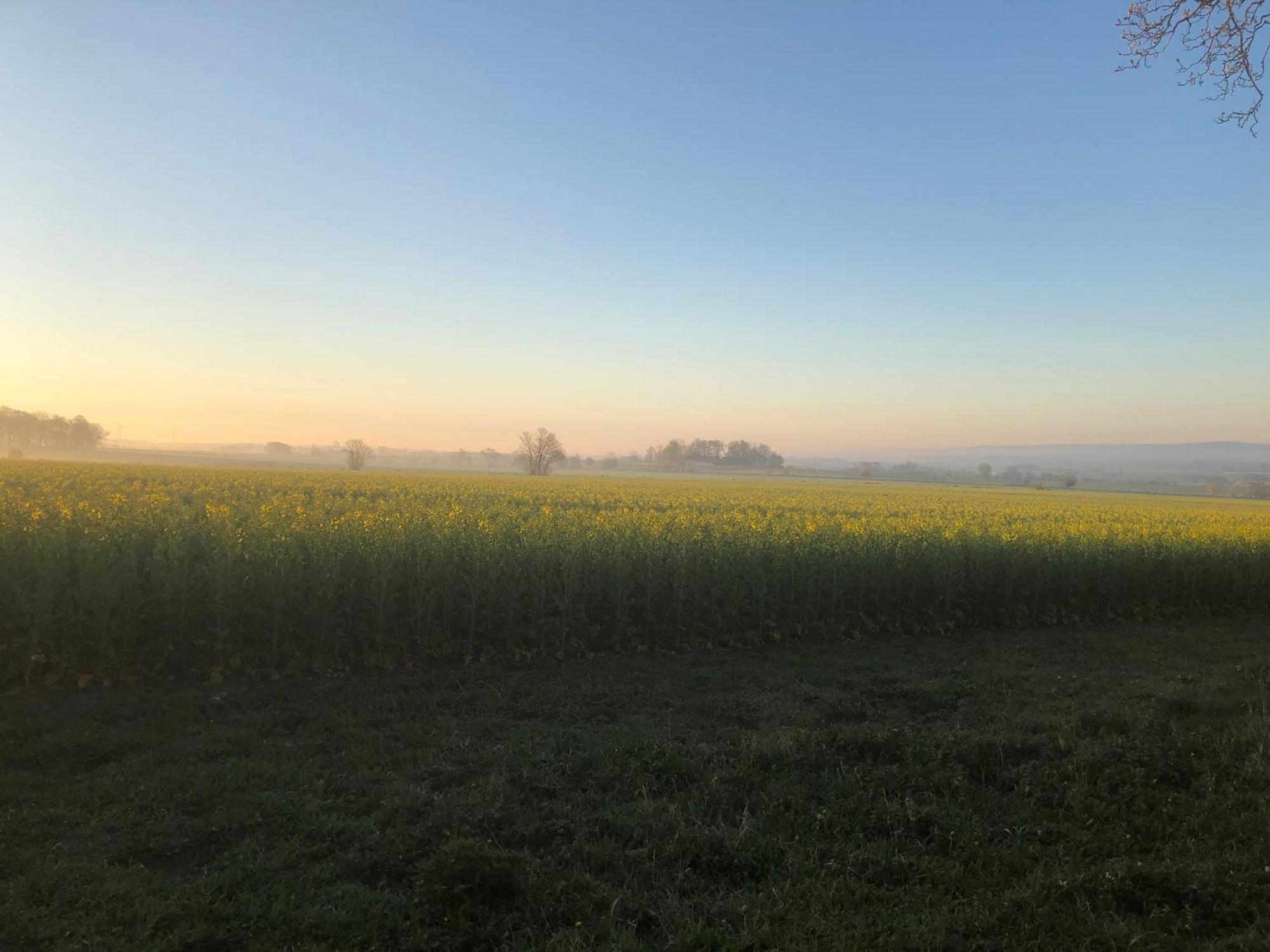 Rosloevs Gard Vackert Boende I En Naturskoen Miljoe. Flyinge Exteriör bild